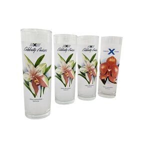 Celebrity Cruises Orchids Frosted High Ball Glasses Drink Recipe – Set of 4